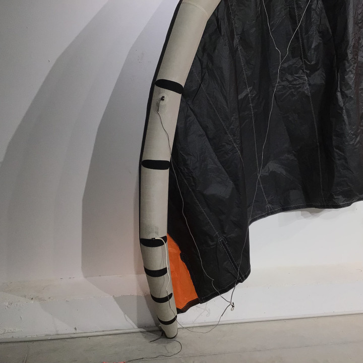Occasion - aile kitesurf slingshot ufo - 8m