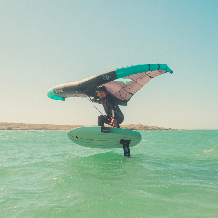 Aile de wing surf F-one Origin 2024 Onyx/Glacier